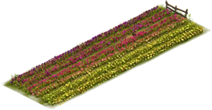 Sternbergiaparzelle